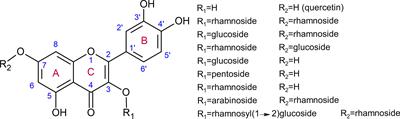 You Want it Sweeter: How Glycosylation Affects Plant Response to Oxidative Stress